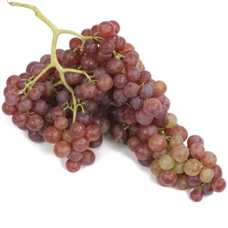 Flame Seedless Table Grape Vine Grow Organic