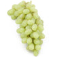 Thompson Seedless Table Grape Vine Grow Organic