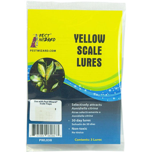 Pest Wizard Yellow Scale Lure 3-Pack Pest Wizard